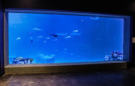 Planet aquariums - I had the opportunity to visit and explore Planet Aquariums, where all sorts of aquariums are built for customers across the U.S. (and maybe internationally)...